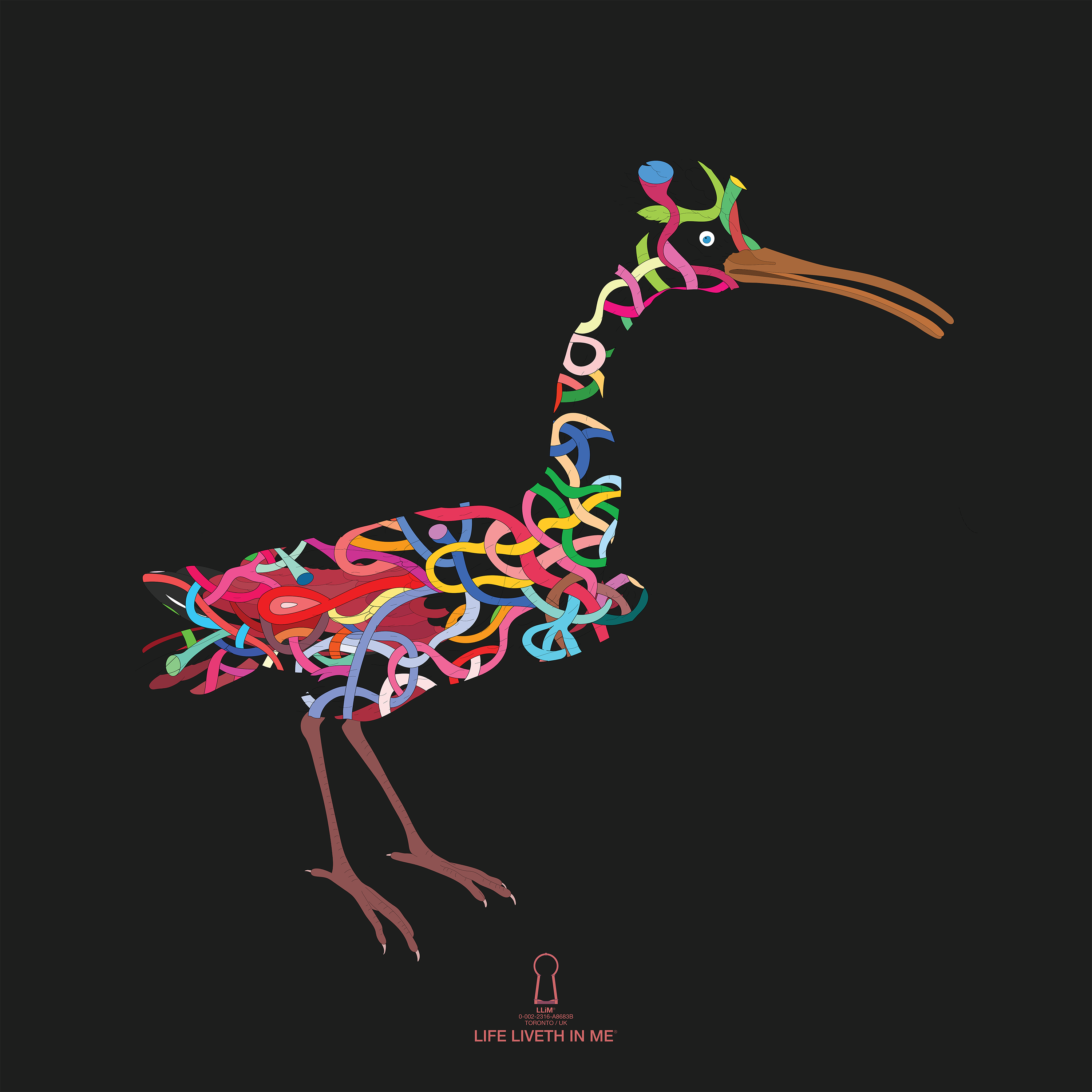 Big Red Bird Series II