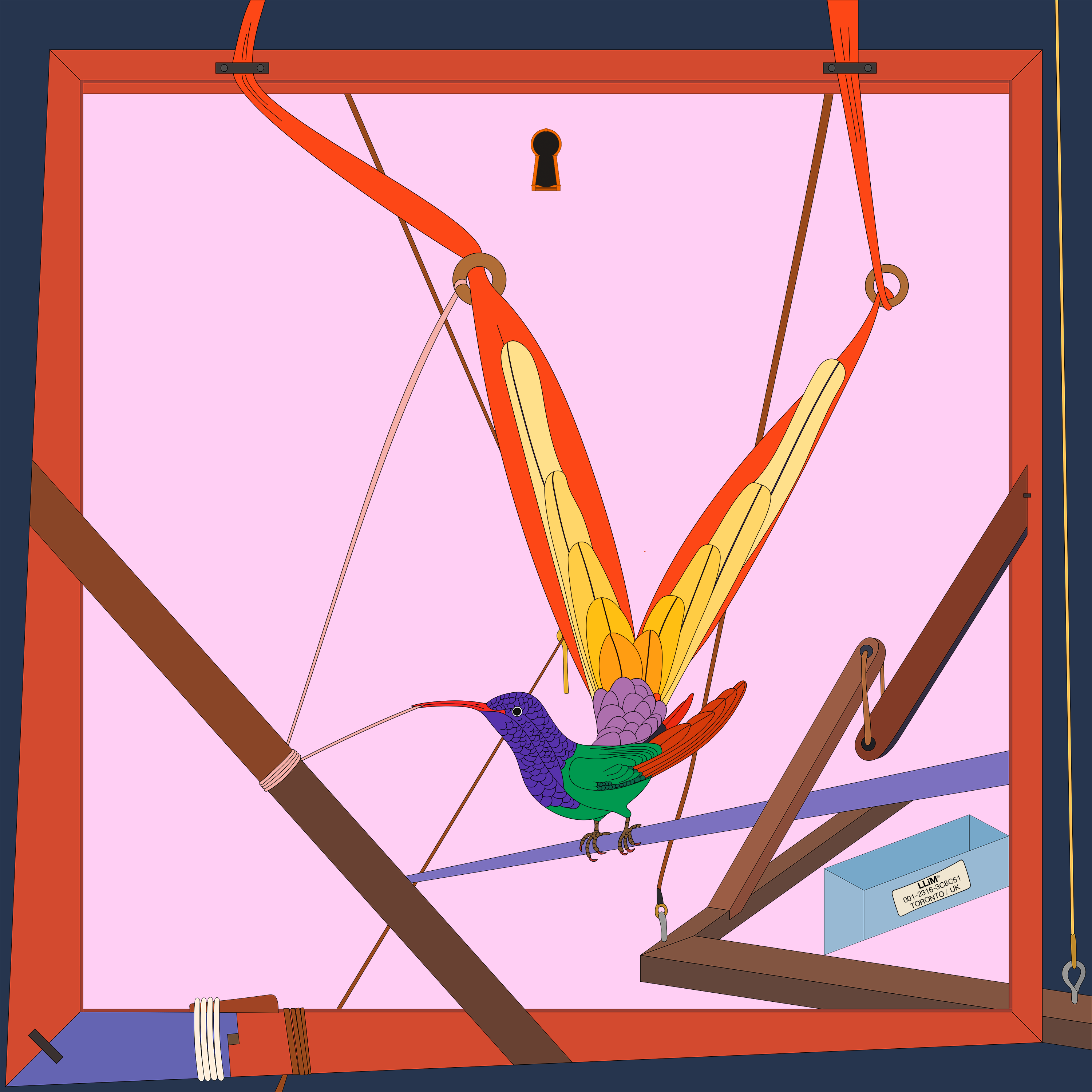 Hummingbird (Trochilus Sparganurus)