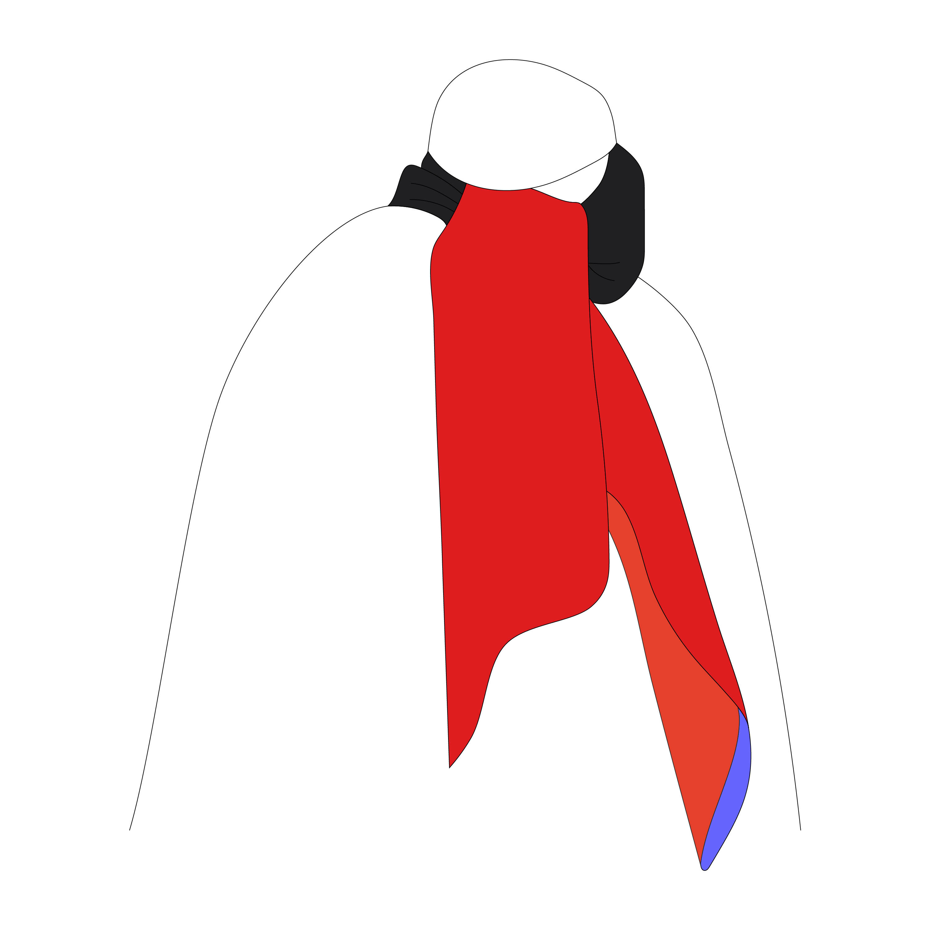 The Journey Of The Lion With The Mask Series I