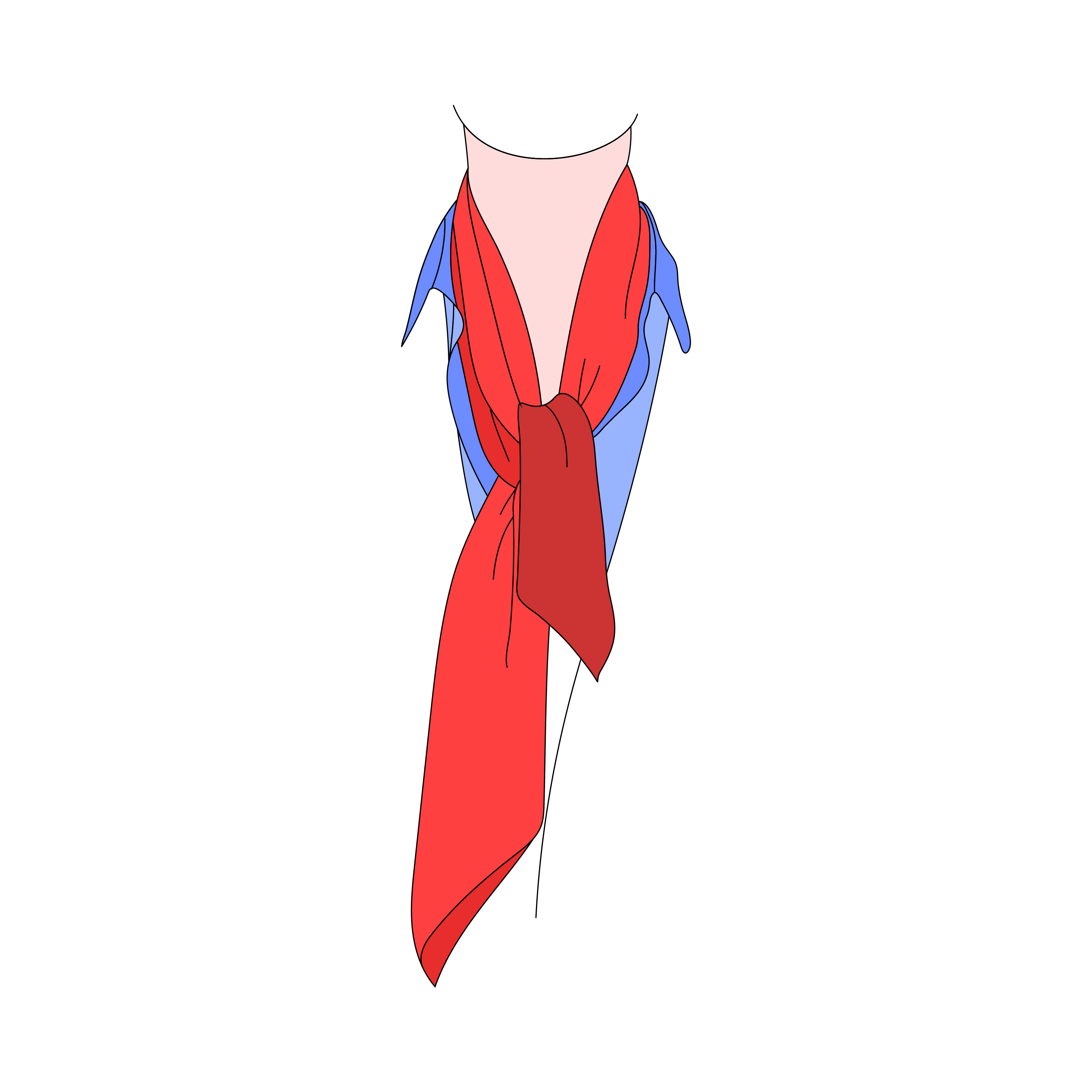 The Journey of the Camel with a Lion's Skin