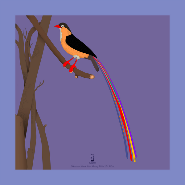 Bird with a long tail