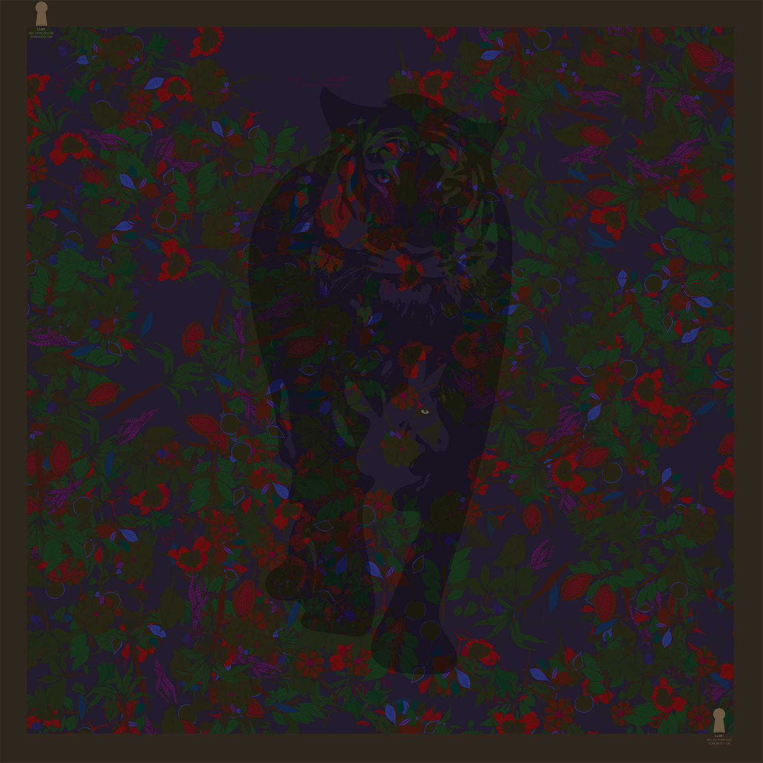 The Forest Deer and The Hemming Bird III - Donkey Night